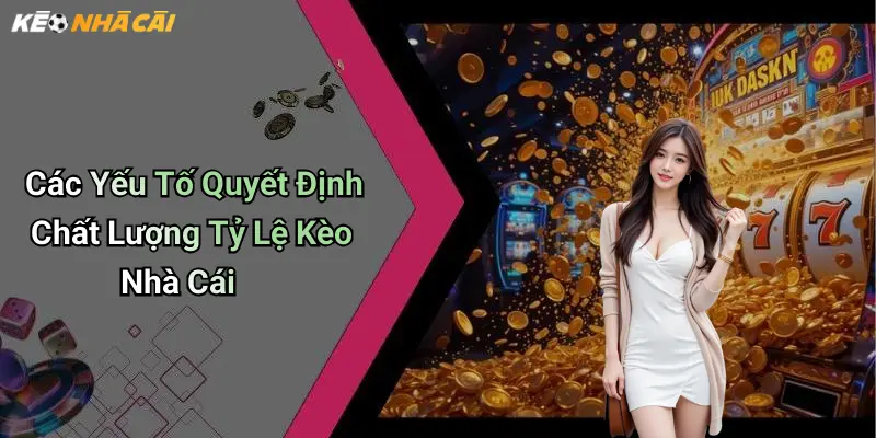 Các Yếu Tố Quyết Định Chất Lượng Tỷ Lệ Kèo Nhà Cái