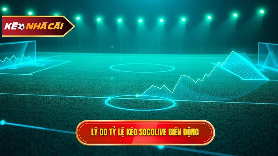 Phân tích đa chiều: Tại sao tỷ lệ Kèo bóng đá Socolive lại biến động?