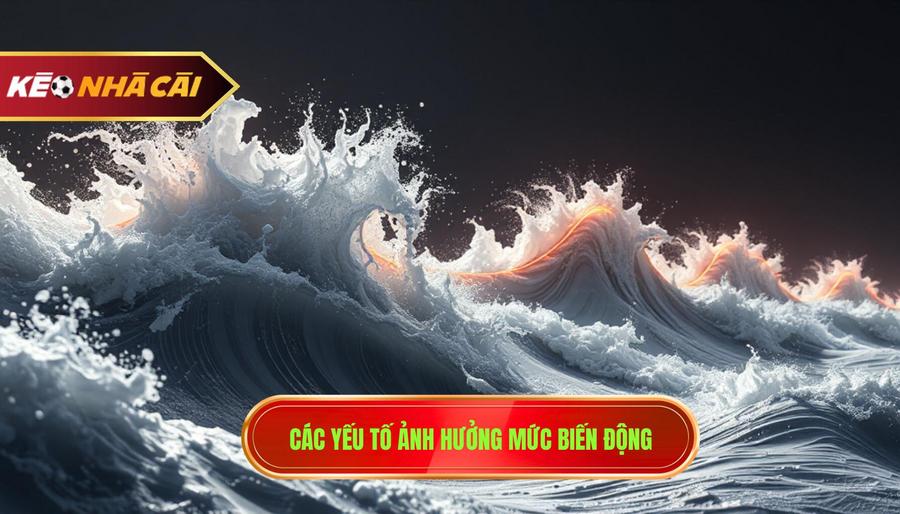Các yếu tố ảnh hưởng mức biến động